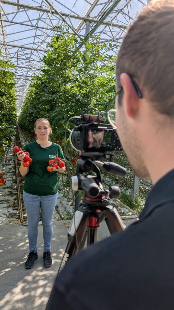 Frau mit Tomaten in den Händen vor einer Kamera im Gewächshaus
